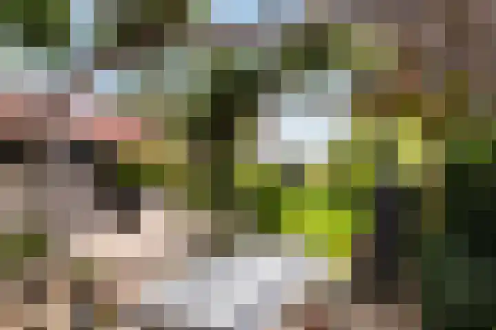 Binnenweg 124 Wilp thumbnail 54
