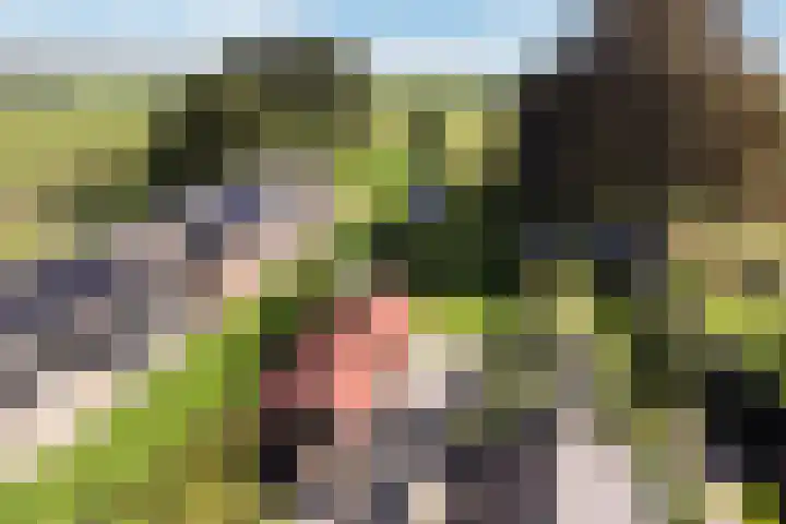 Binnenweg 124 Wilp thumbnail 57