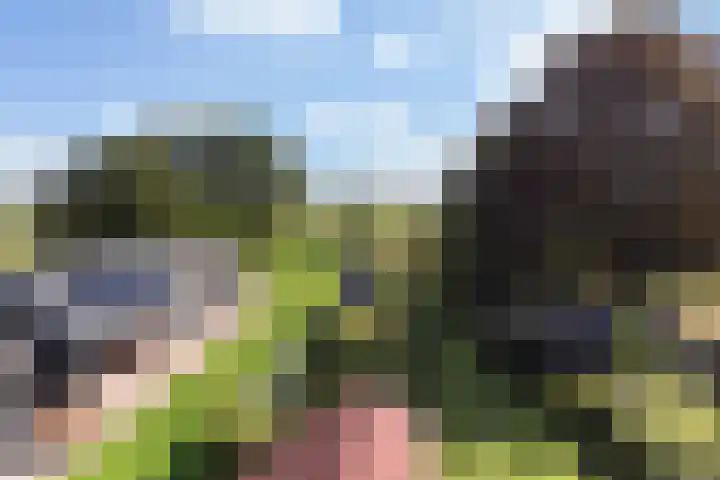 Binnenweg 124 Wilp thumbnail 58