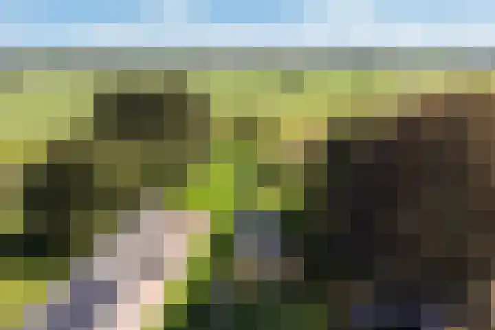 Binnenweg 124 Wilp thumbnail 59
