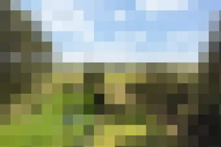 Binnenweg 124 Wilp thumbnail 60