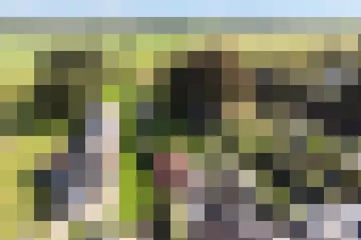Binnenweg 124 Wilp thumbnail 61
