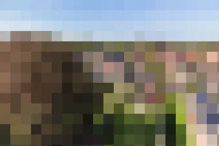Binnenweg 124 Wilp thumbnail 62