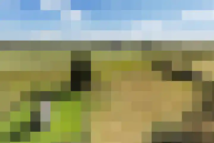 Binnenweg 124 Wilp thumbnail 63