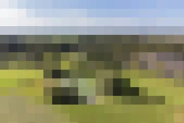 Binnenweg 124 Wilp thumbnail 64