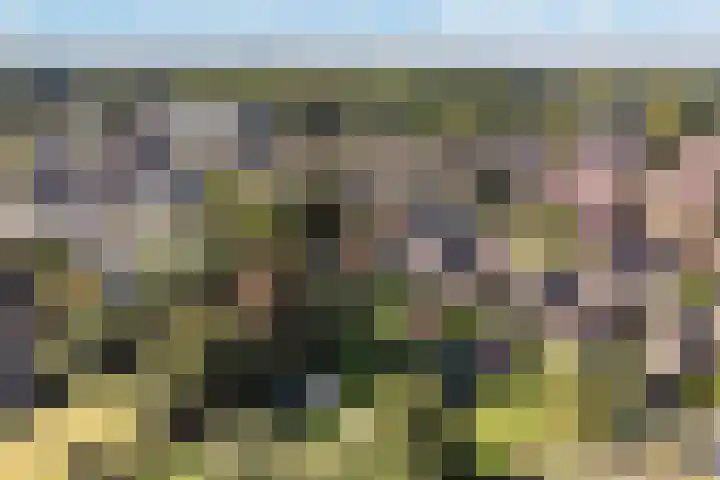 Binnenweg 124 Wilp thumbnail 67