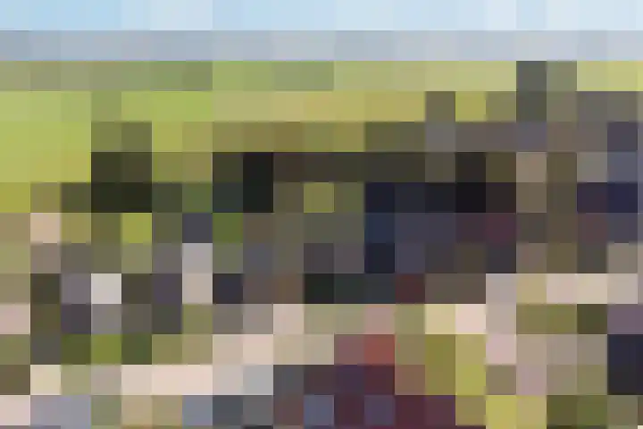 Binnenweg 124 Wilp thumbnail 68