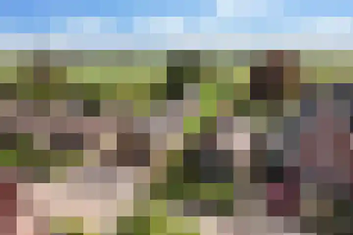 Binnenweg 124 Wilp thumbnail 69