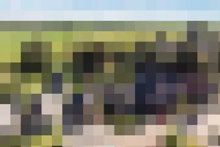 Binnenweg 124 Wilp thumbnail 7