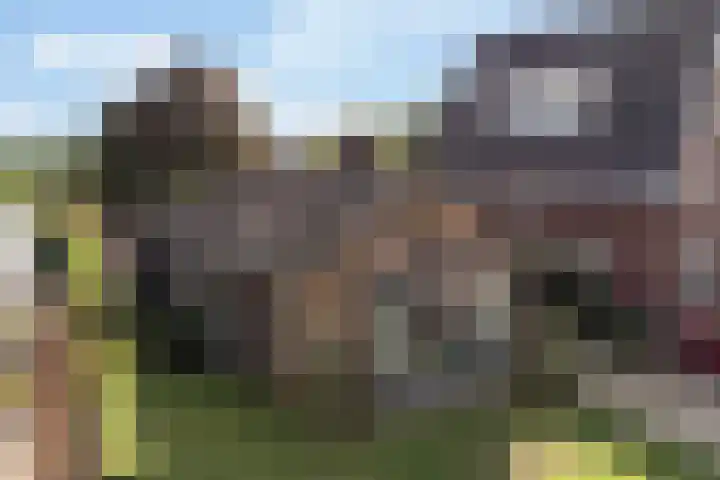 Binnenweg 124 Wilp thumbnail 70