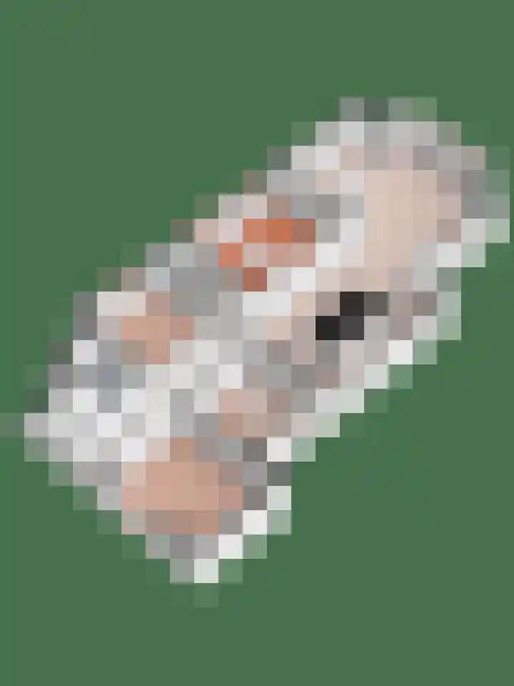 Binnenweg 124 Wilp thumbnail 72