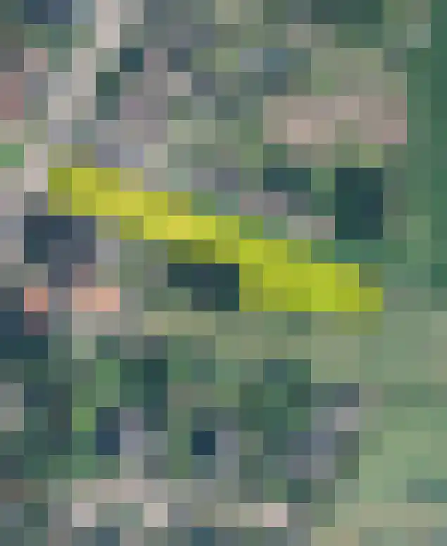 Binnenweg 124 Wilp thumbnail 79