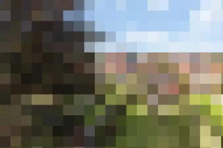Binnenweg 124 Wilp thumbnail 8