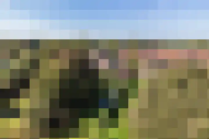 Binnenweg 124 Wilp thumbnail 9