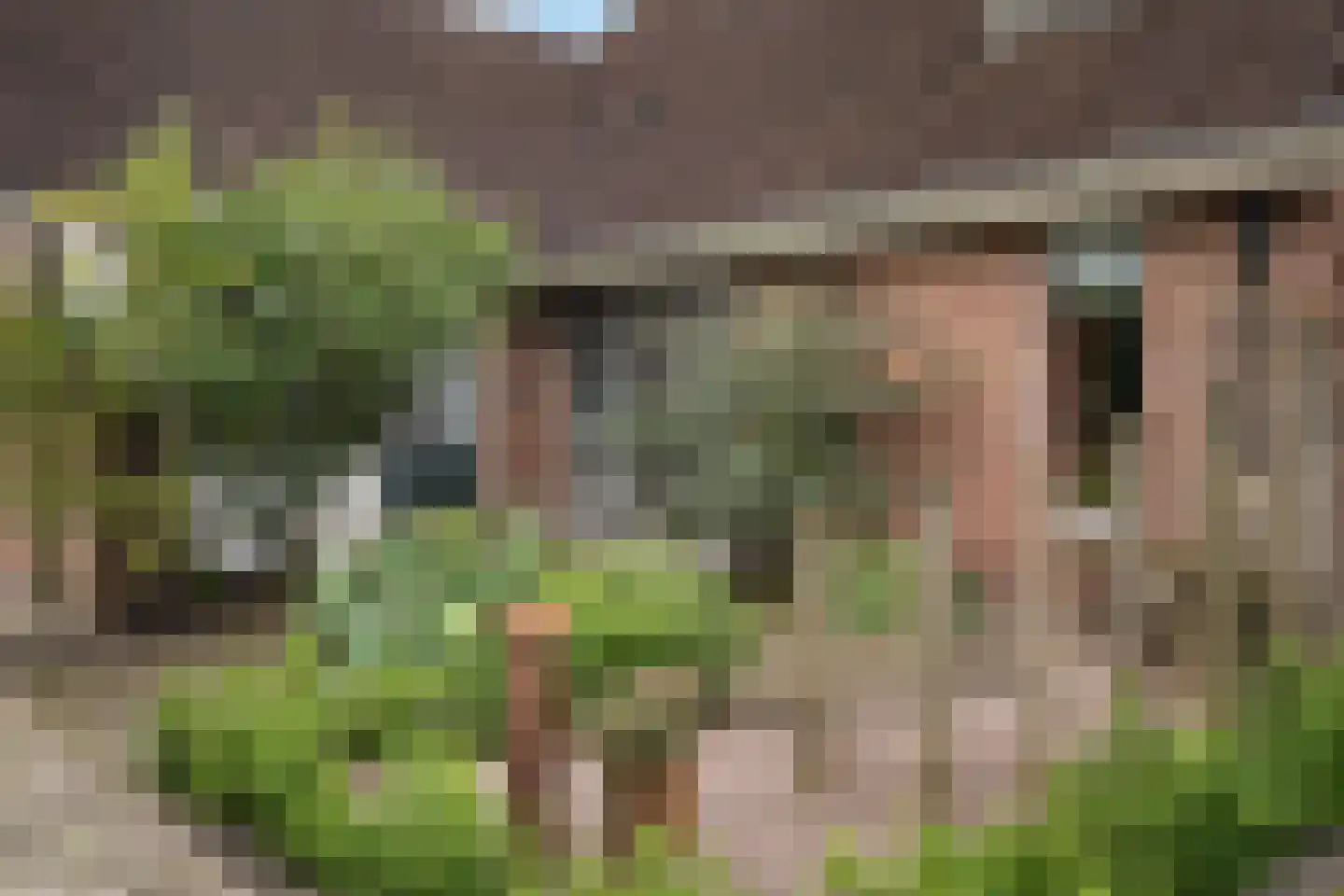 Binnenweg 14 Westerbork thumbnail 31