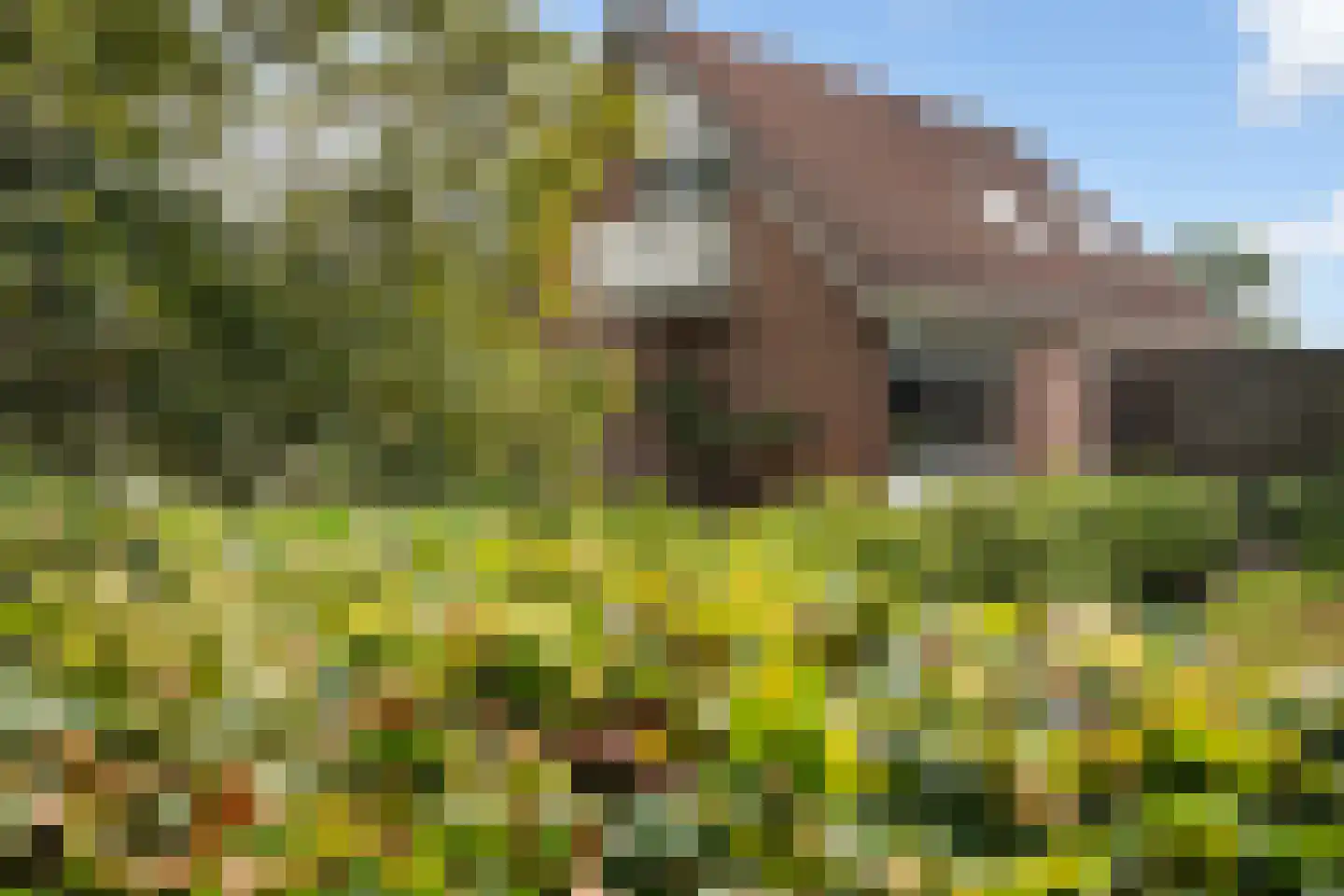 Binnenweg 14 Westerbork thumbnail 33