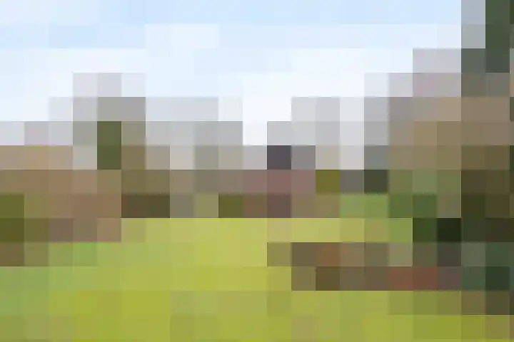 Binnenweg 17 Oldenzaal thumbnail 14
