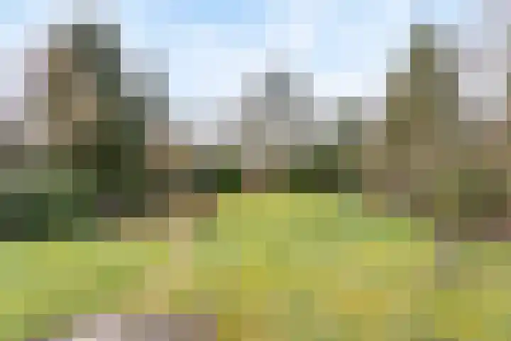 Binnenweg 17 Oldenzaal thumbnail 17