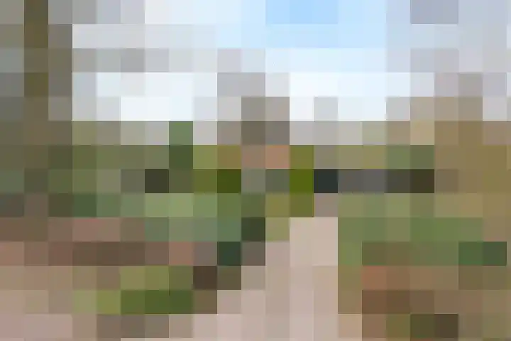 Binnenweg 17 Oldenzaal thumbnail 19