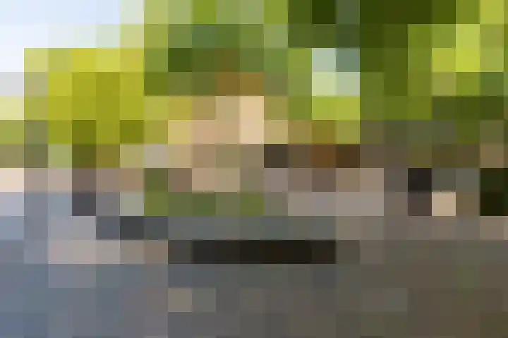 Binnenweg 178 C Heemstede thumbnail 18