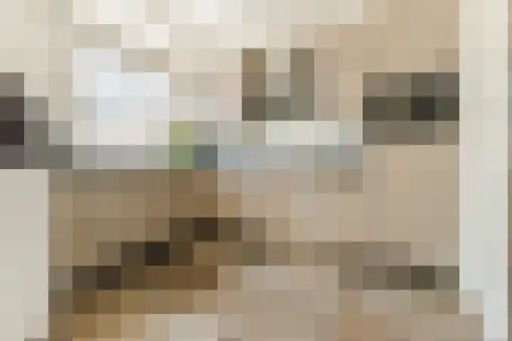 Binnenweg 19 Veldhoven thumbnail 16