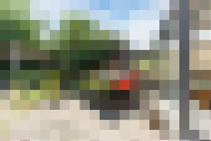 Binnenweg 19 Veldhoven thumbnail 36
