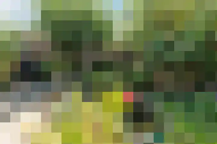 Binnenweg 19 Veldhoven thumbnail 38