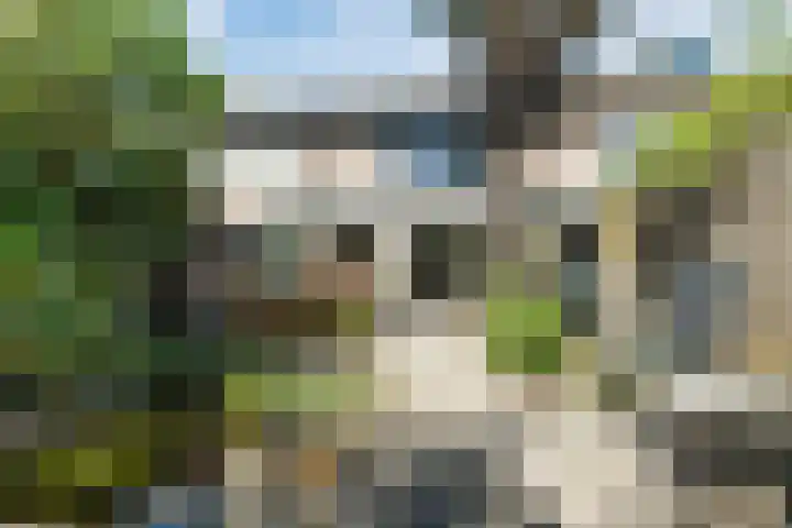 Binnenweg 19 Veldhoven thumbnail 39