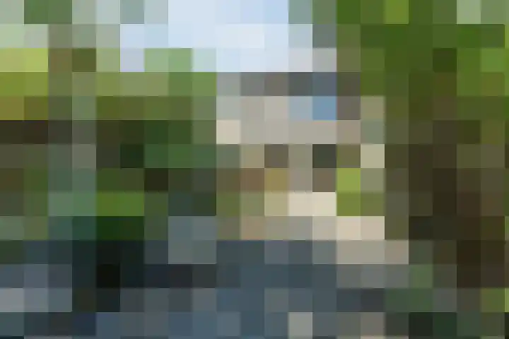 Binnenweg 19 Veldhoven thumbnail 41