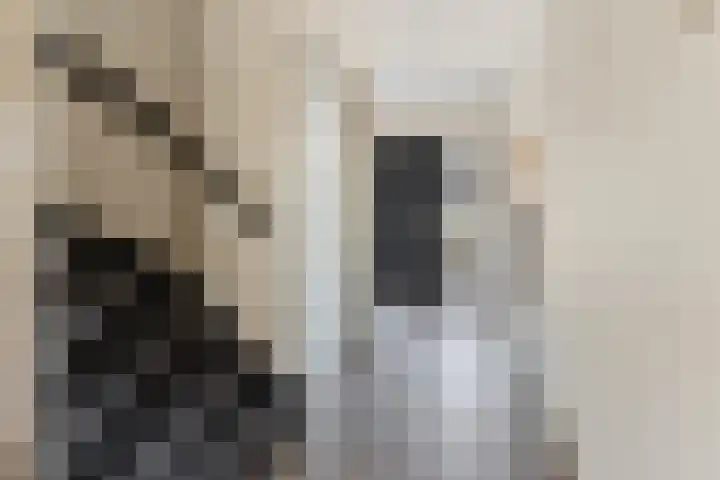 Binnenweg 19 Veldhoven thumbnail 7