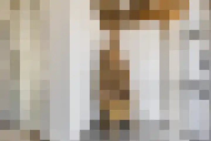 Binnenweg 19 Veldhoven thumbnail 8
