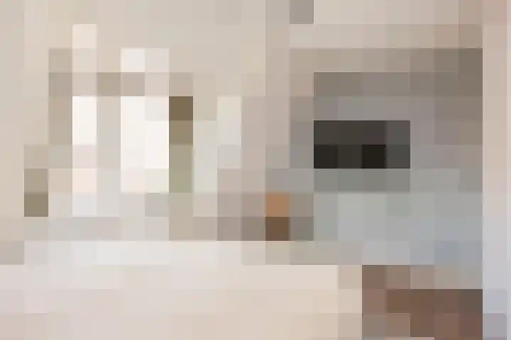 Binnenweg 2 Hengelo thumbnail 19