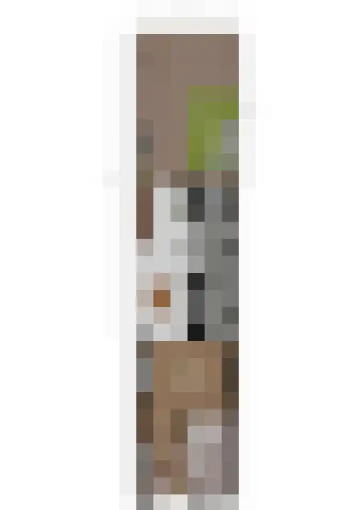 Binnenweg 2 Hengelo thumbnail 36