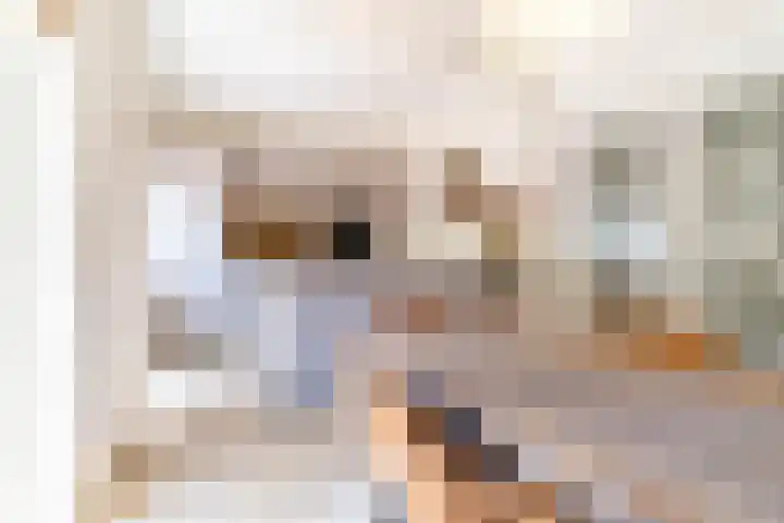 Binnenweg 2 Wassenaar thumbnail 13