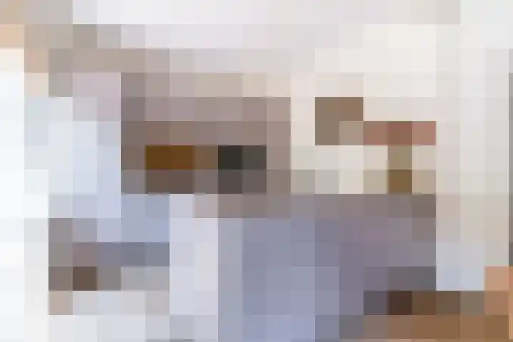 Binnenweg 2 Wassenaar thumbnail 14