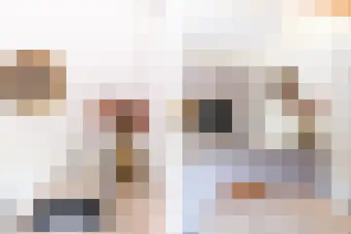 Binnenweg 2 Wassenaar thumbnail 15