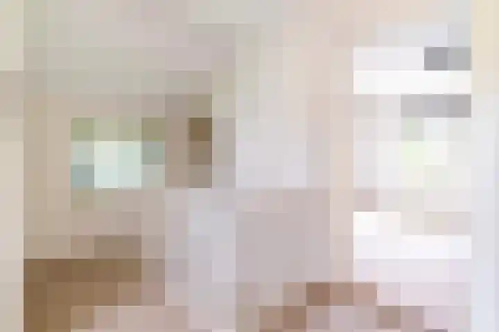 Binnenweg 2 Wassenaar thumbnail 17