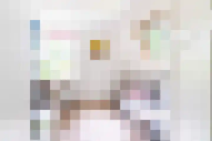 Binnenweg 2 Wassenaar thumbnail 21