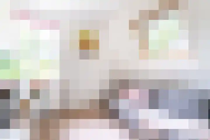 Binnenweg 2 Wassenaar thumbnail 22