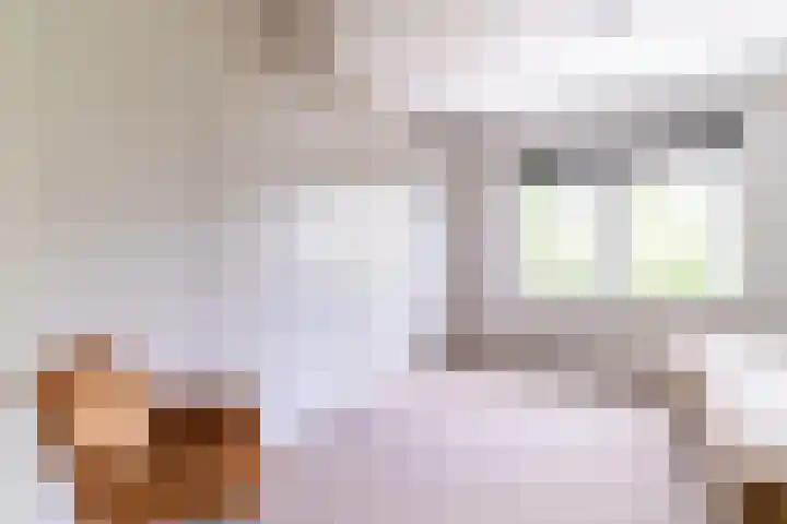 Binnenweg 2 Wassenaar thumbnail 25