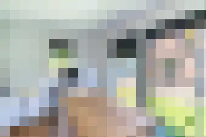 Binnenweg 2 Wassenaar thumbnail 32