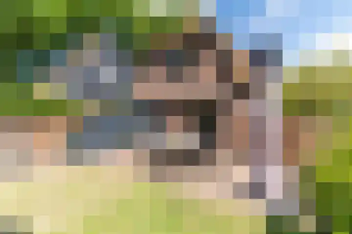 Binnenweg 2 Wassenaar thumbnail 33