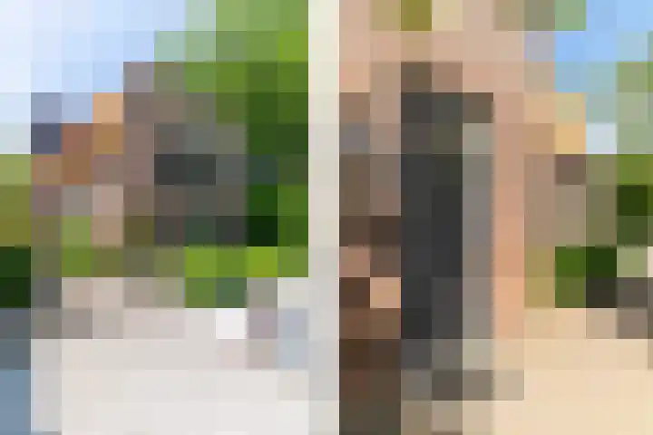 Binnenweg 2 Wassenaar thumbnail 5