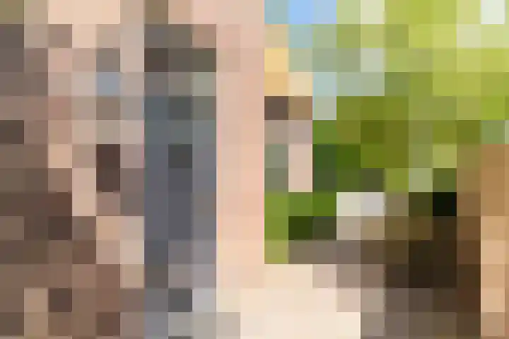 Binnenweg 2 Wassenaar thumbnail 6