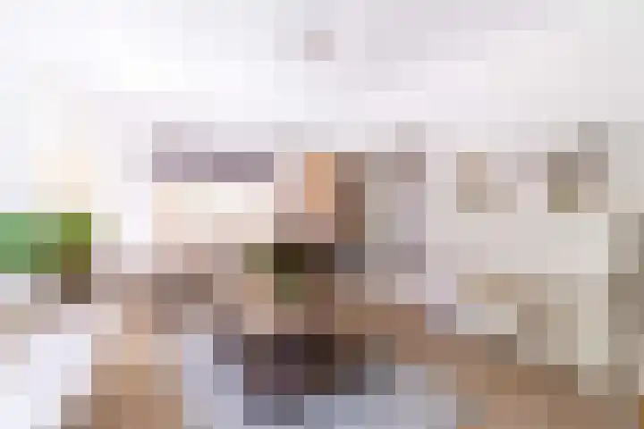 Binnenweg 2 Wassenaar thumbnail 9