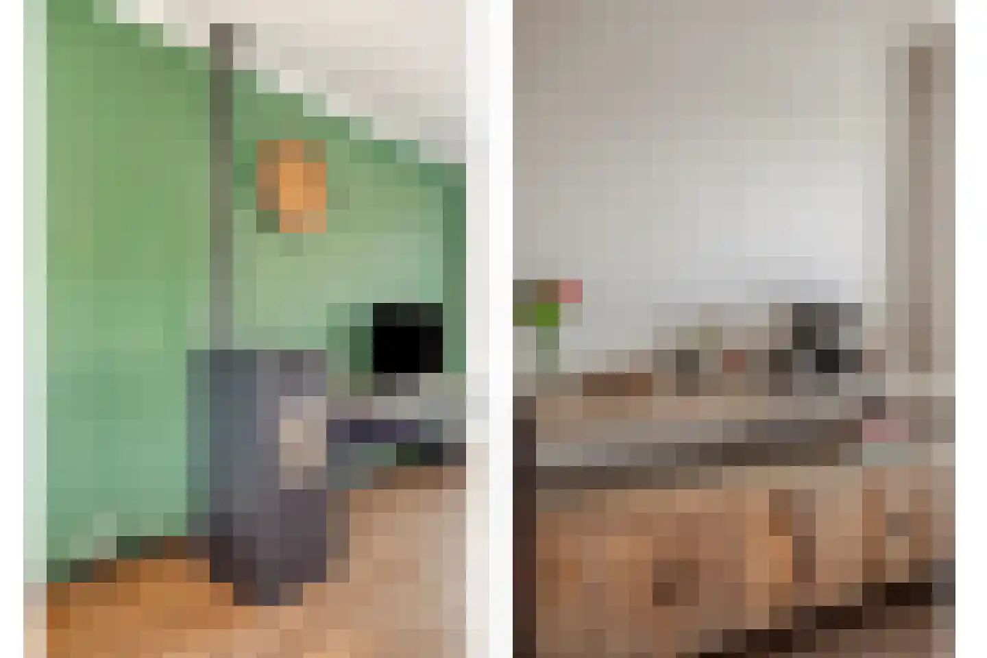 Binnenweg 20 Maasbracht thumbnail 10