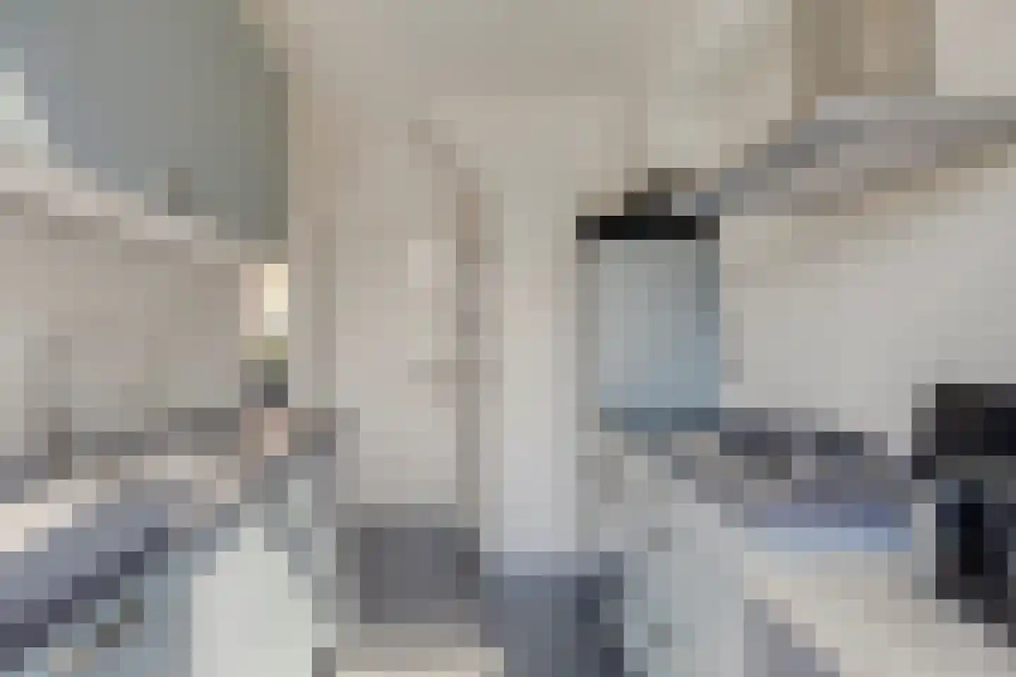 Binnenweg 20 Maasbracht thumbnail 15
