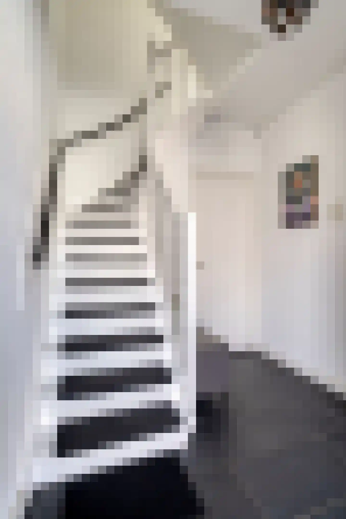 Binnenweg 20 Maasbracht thumbnail 17