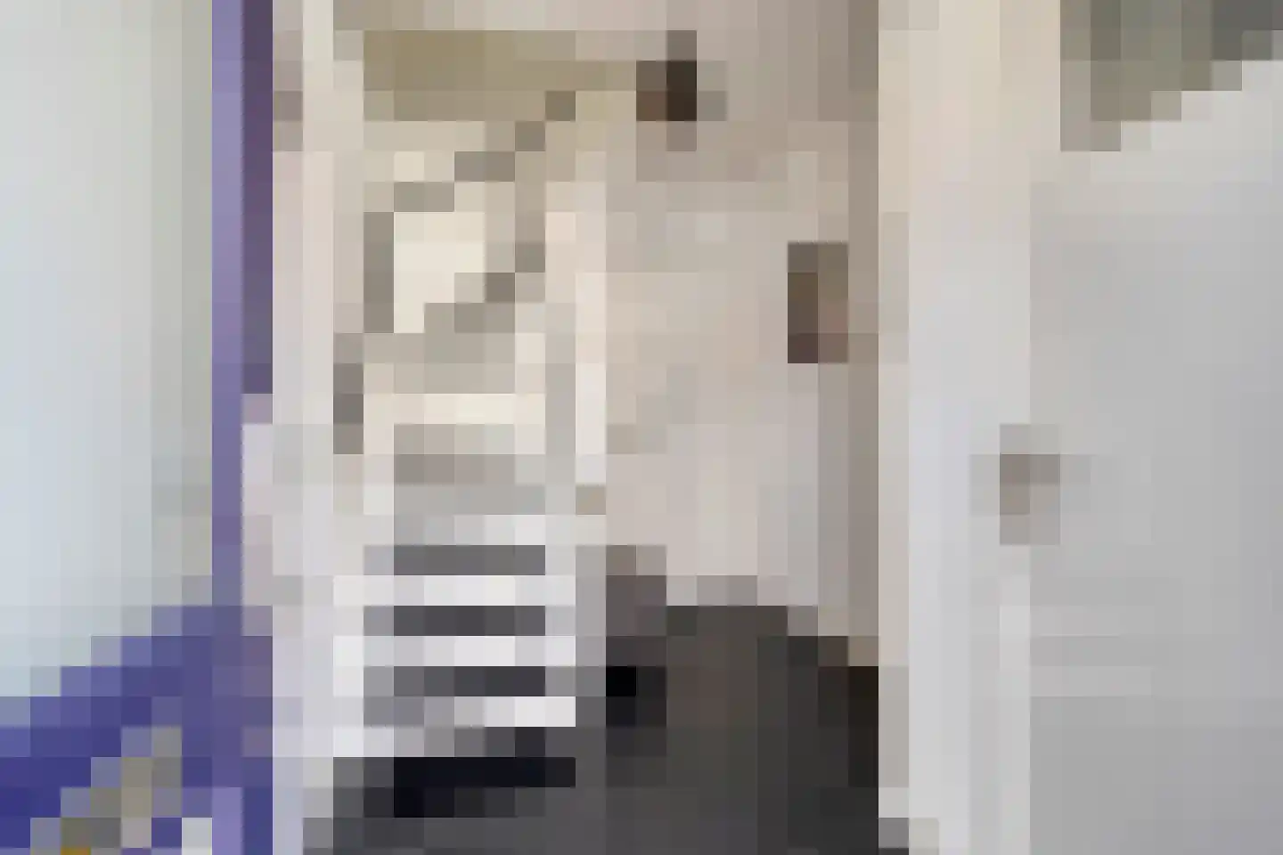 Binnenweg 20 Maasbracht thumbnail 4