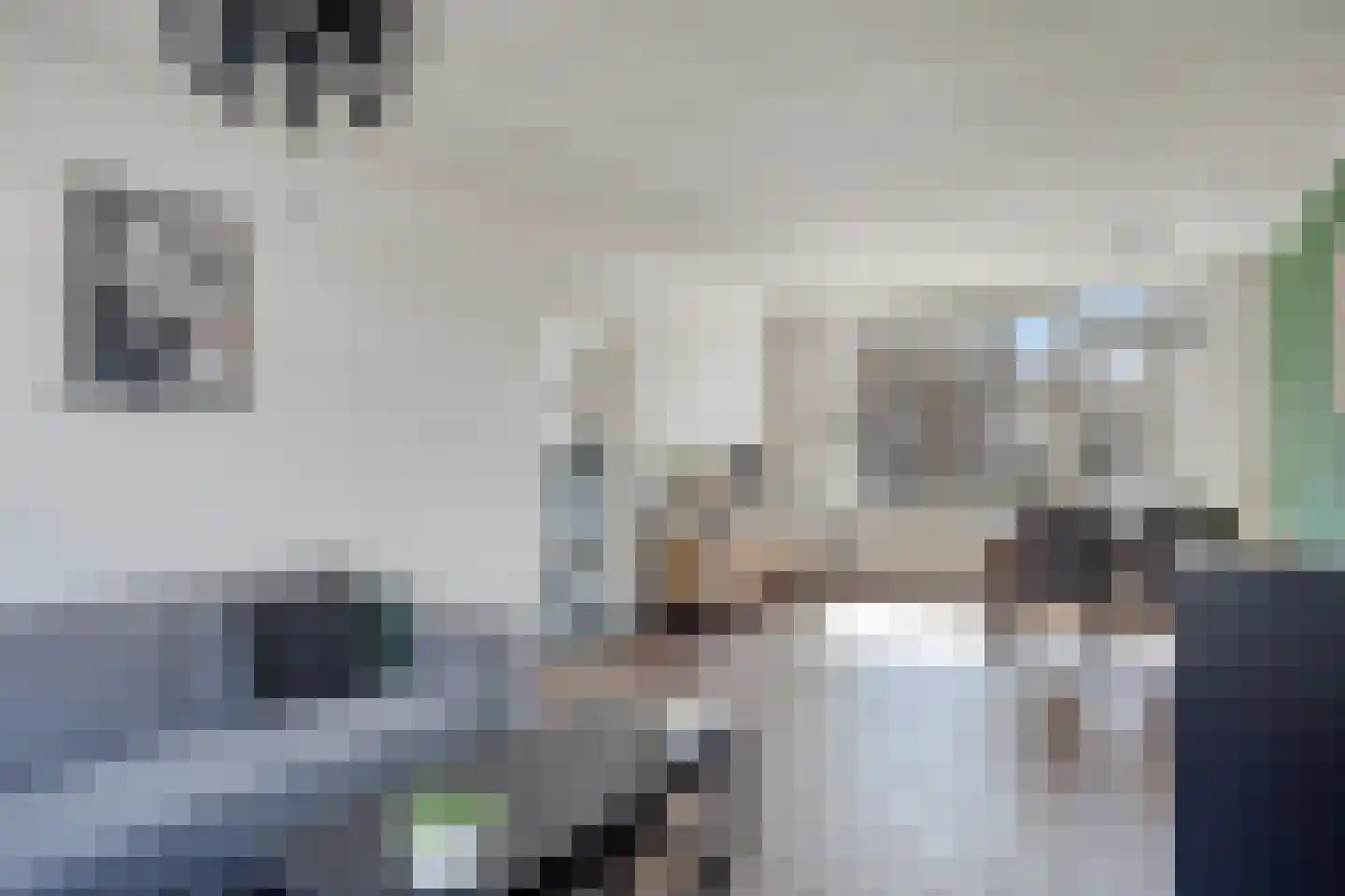 Binnenweg 20 Maasbracht thumbnail 7
